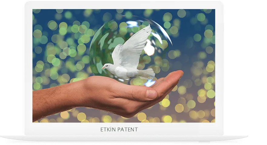 faydalı model on koruma yöntemleri-siirt patent